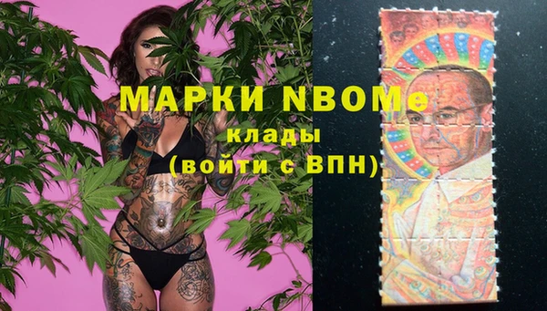гашик Алексеевка
