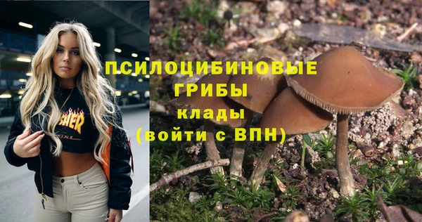 амфетамин Алексин