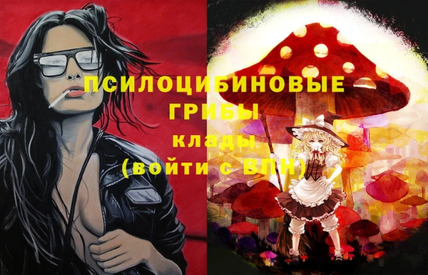гашик Алексеевка